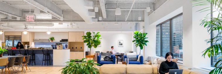 wework coworking